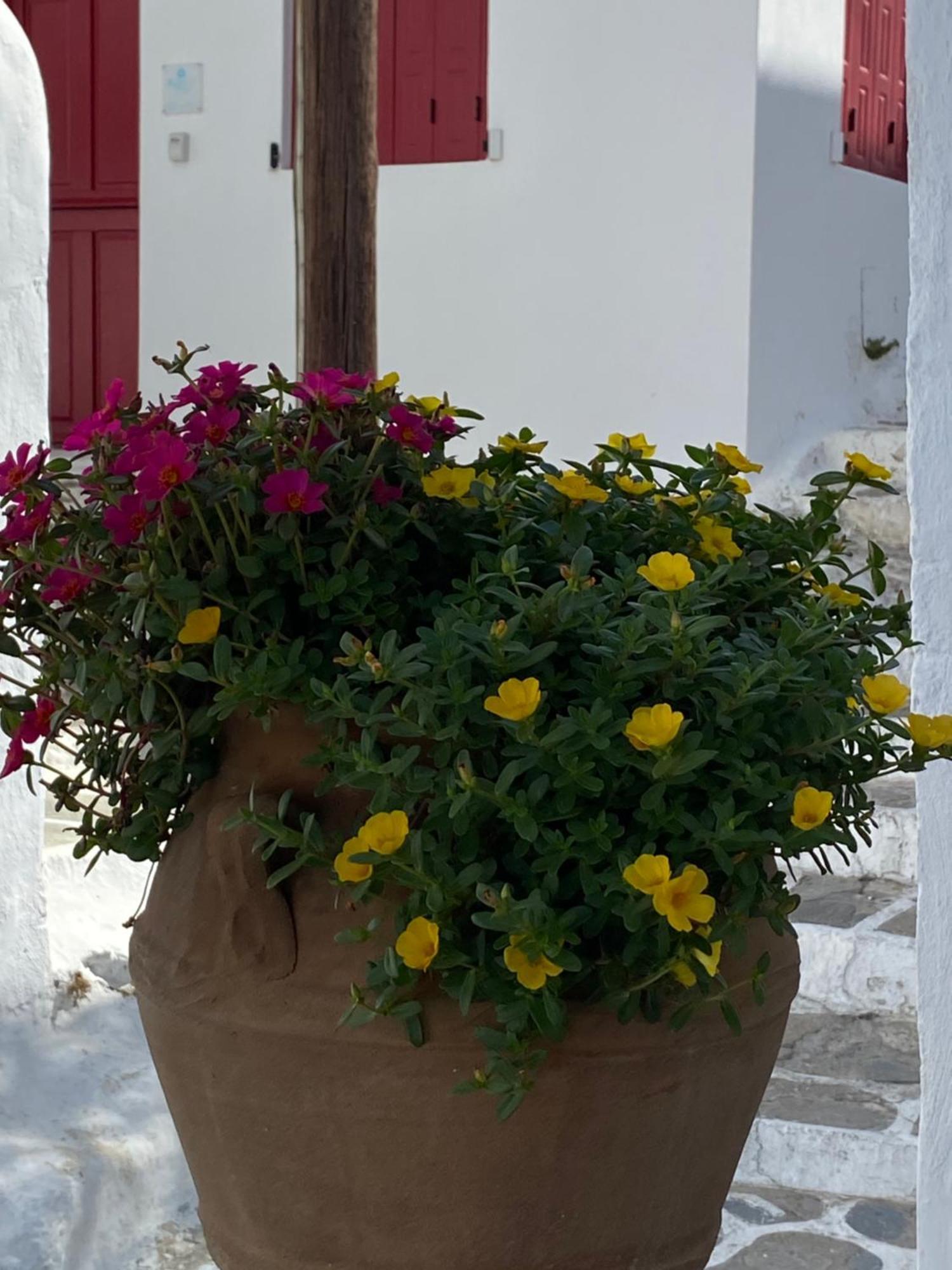 Della Nonna Guest house *